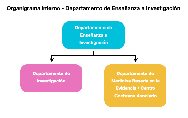 Organigrama interno Enseñanza